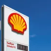 Shell Başarı Hikayesi