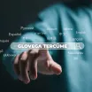 Adem Ay’ın Vizyonu ile Doğan Marka: Glovega Tercüme’nin Yükselişi